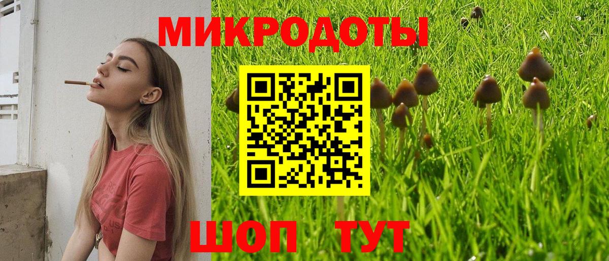 Галлюциногенные грибы GOLDEN TEACHER Кузнецк