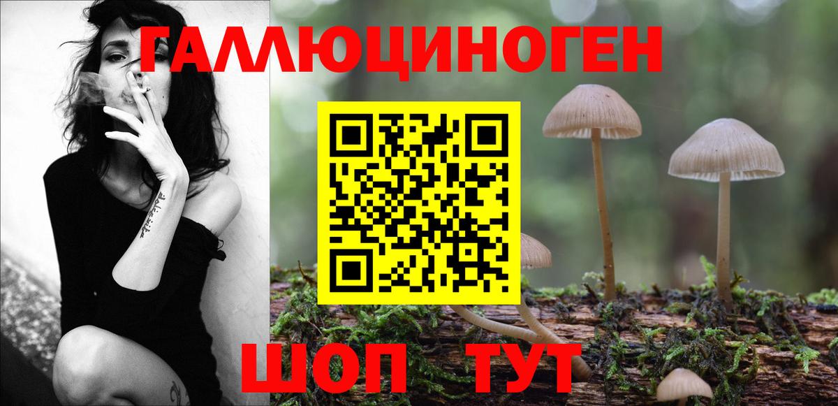 Кузнецк  Галлюциногенные грибы Cubensis  Вход с VPN 
